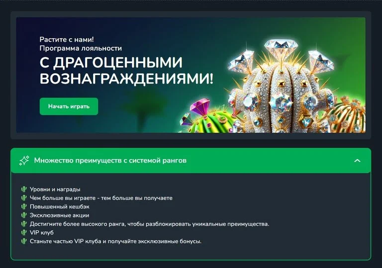 cactus casino